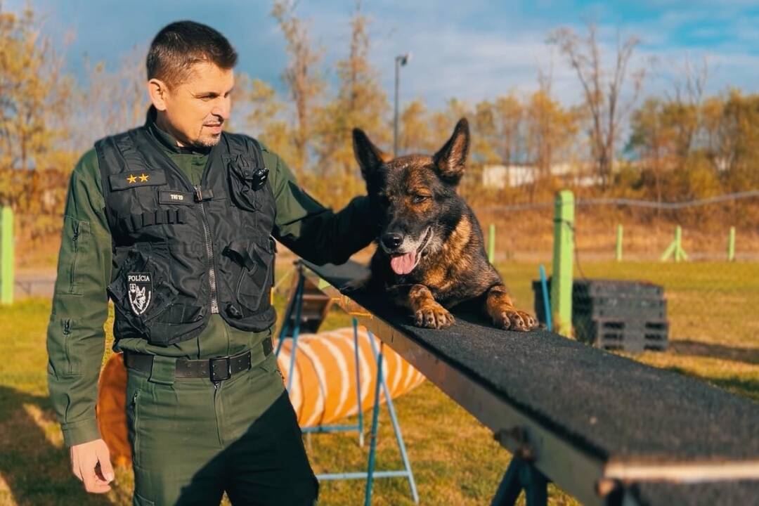 FOTO: Policajný zbor vyzýva chovateľov: Kúpime psy do výkonu služby