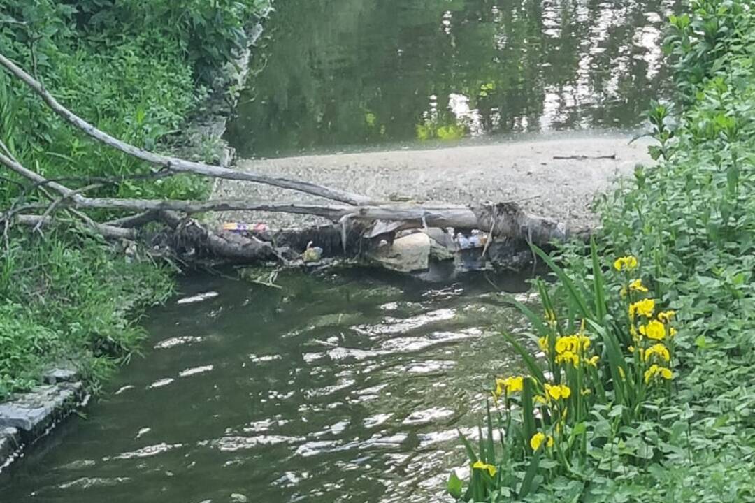 Foto: Obyvateľov Trnavy hnevá padnutý strom a neporiadok v Trnávke. Za tie odpadky môžu ľudia, píše sa v komentároch