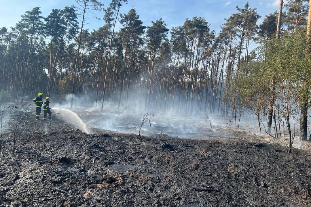 FOTO: V lese na Záhorí vypukol masívny požiar. Situáciu skomplikoval nárazový vietor