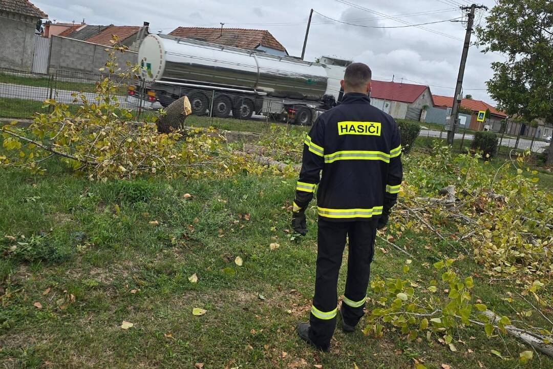 Foto: Prvé zásahy hasičov pre nepriaznivé počasie v Trnavskom kraji: Odstraňovali popadané stromy