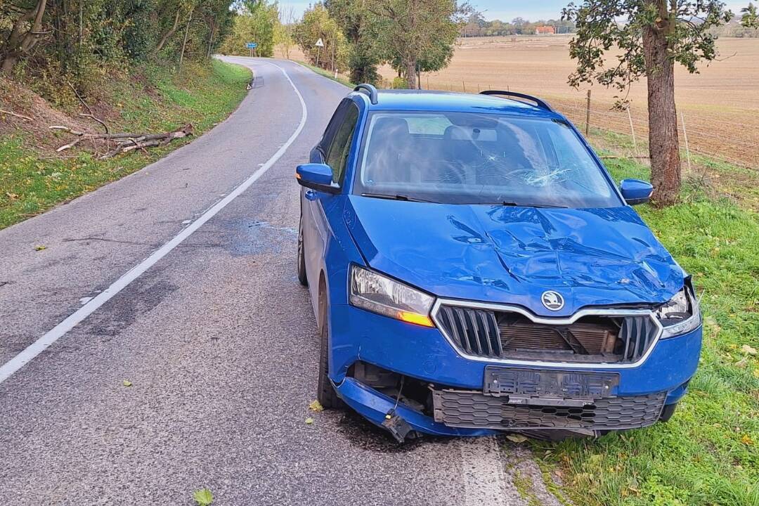 Na idúce auto medzi Rohožníkom a Jablonicou spadol strom. Vodičom spôsobuje problémy silný vietor