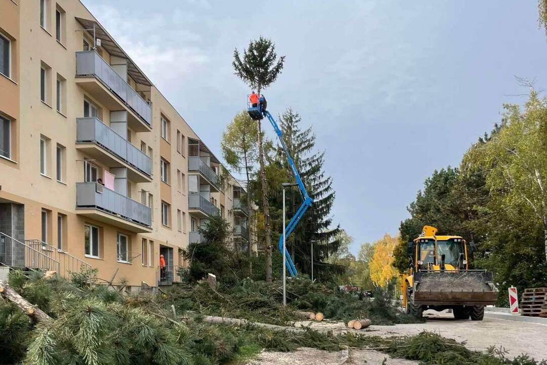 Foto: Čo sa to v Hlohovci deje? Výrub stromov na jednej z ulíc vzbudil pozornosť bývalého primátora mesta