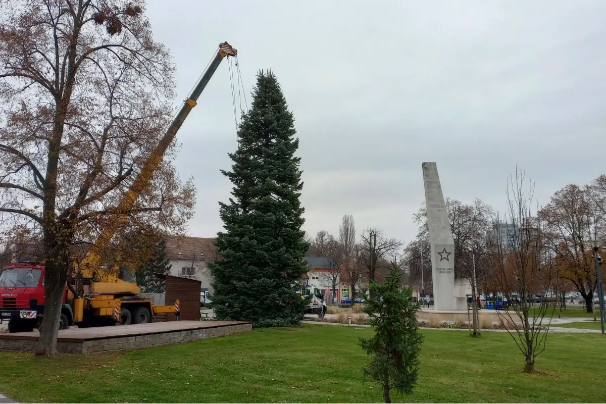 Foto: FOTO+VIDEO: Už aj Sereď má svoj vianočný stromček. Je ním mohutná 15 metrová jedľa