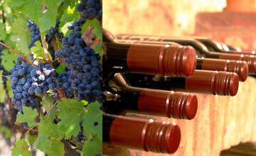 Vína zo skalických vinohradov môžete ochutnávať celé leto. Miestni producenti vás privítajú každý deň