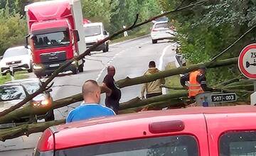 Na ceste medzi Gabčíkovom a Vrakúňom je spadnutý strom. Úsek je v oboch smeroch momentálne neprejazdný