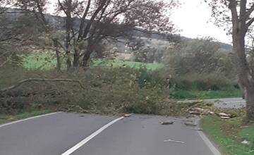 Ďalší spadnutý strom pri Jablonici. Najskôr poškodil auto, tentokrát obmedzil prejazd v oboch smeroch