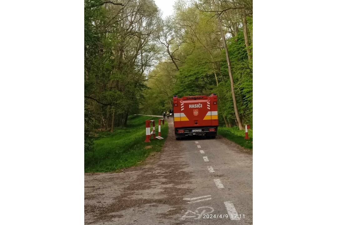 FOTO: Polícia prosí o pomoc pri pátraní po nezvestnom Milanovi Verešovi, foto 6