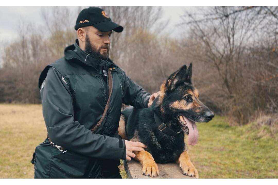 FOTO: Policajný zbor kúpi od chovateľov psy do výkonu služby, foto 2