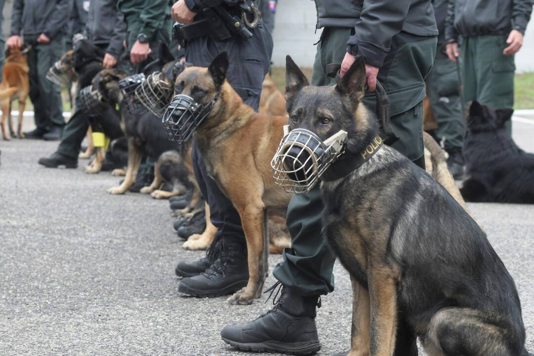 FOTO: Policajný zbor kúpi od chovateľov psy do výkonu služby, foto 13