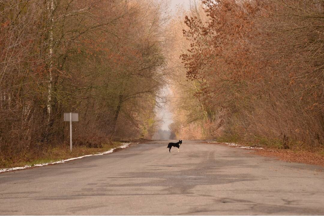 FOTO: Mestá duchov Černobyľ a Pripjať, foto 162