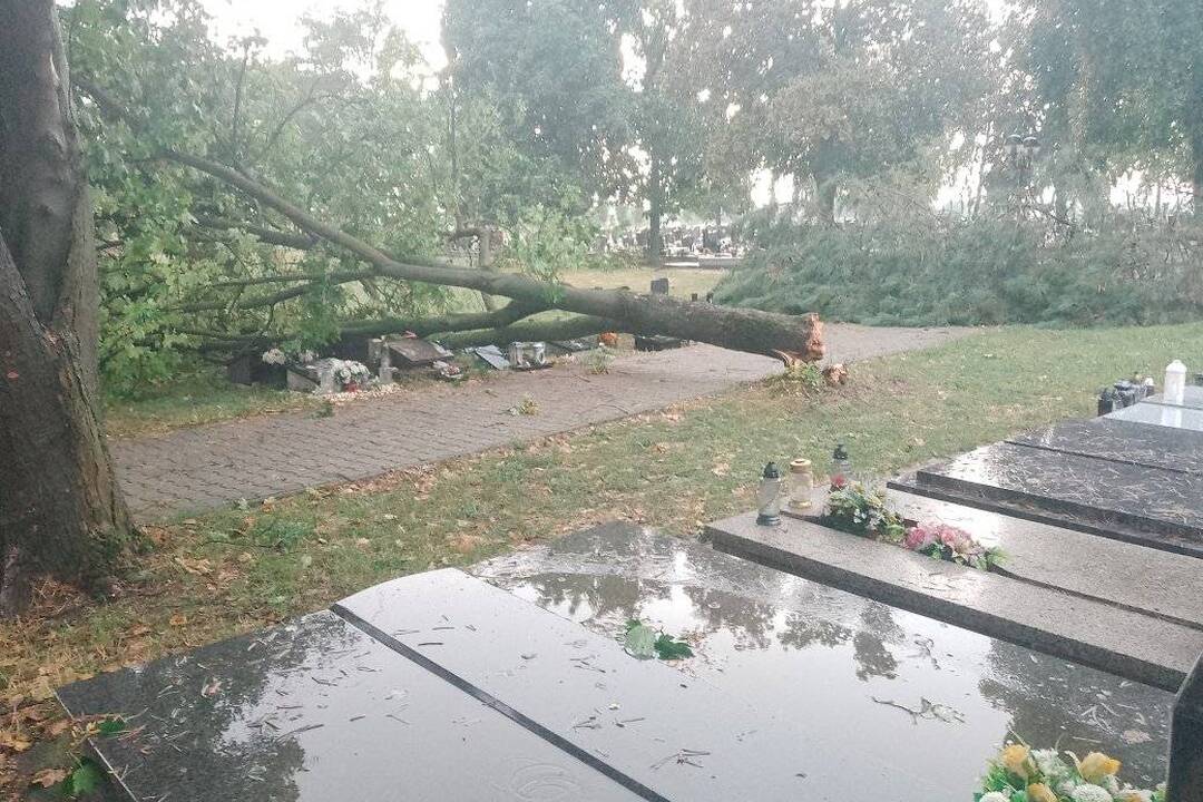 FOTO: Búrka v Hlohovci spôsobila zatopené cesty a popadané stromy, foto 4