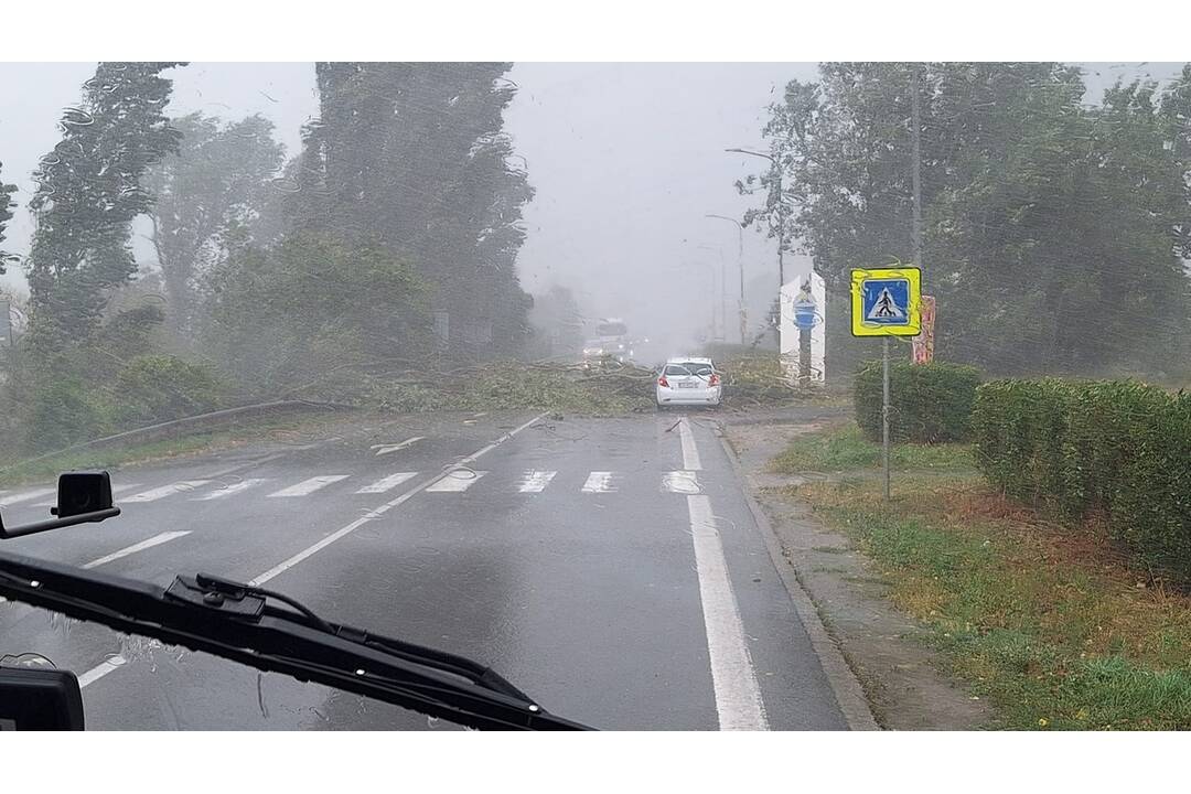 FOTO: Búrka v Hlohovci spôsobila zatopené cesty a popadané stromy, foto 5