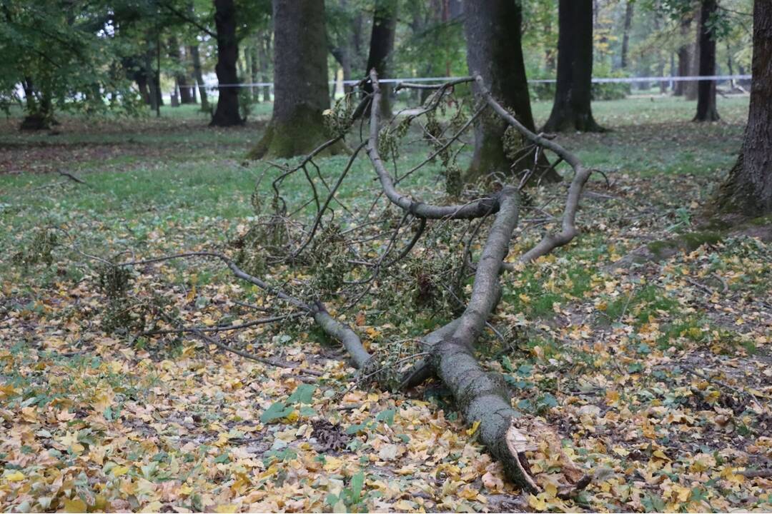 FOTO: Upozornenie na vstup do parku, foto 6