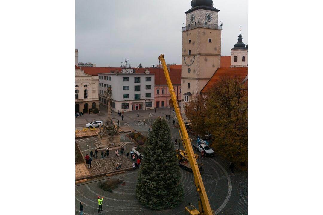 FOTO: Nový vianočný stromček už priviezli do Trnavy. Pozrite si, ako vyzerá, foto 6