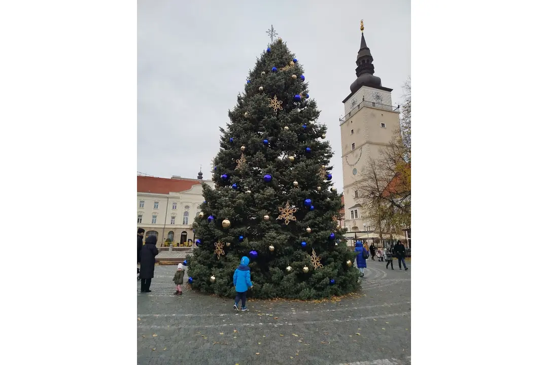 FOTO: Nový vianočný stromček v Trnave, foto 2