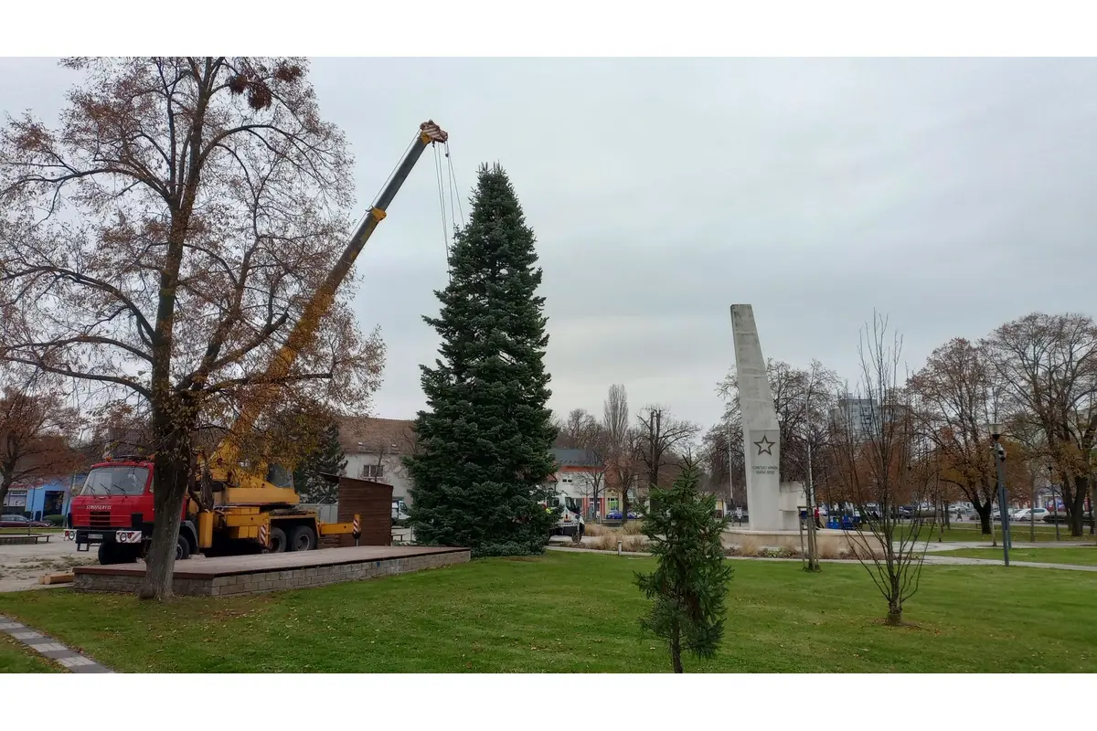 FOTO: Už aj mesto Sereď má svoj vianočný stromček, foto 4